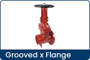 Grooved x Flange